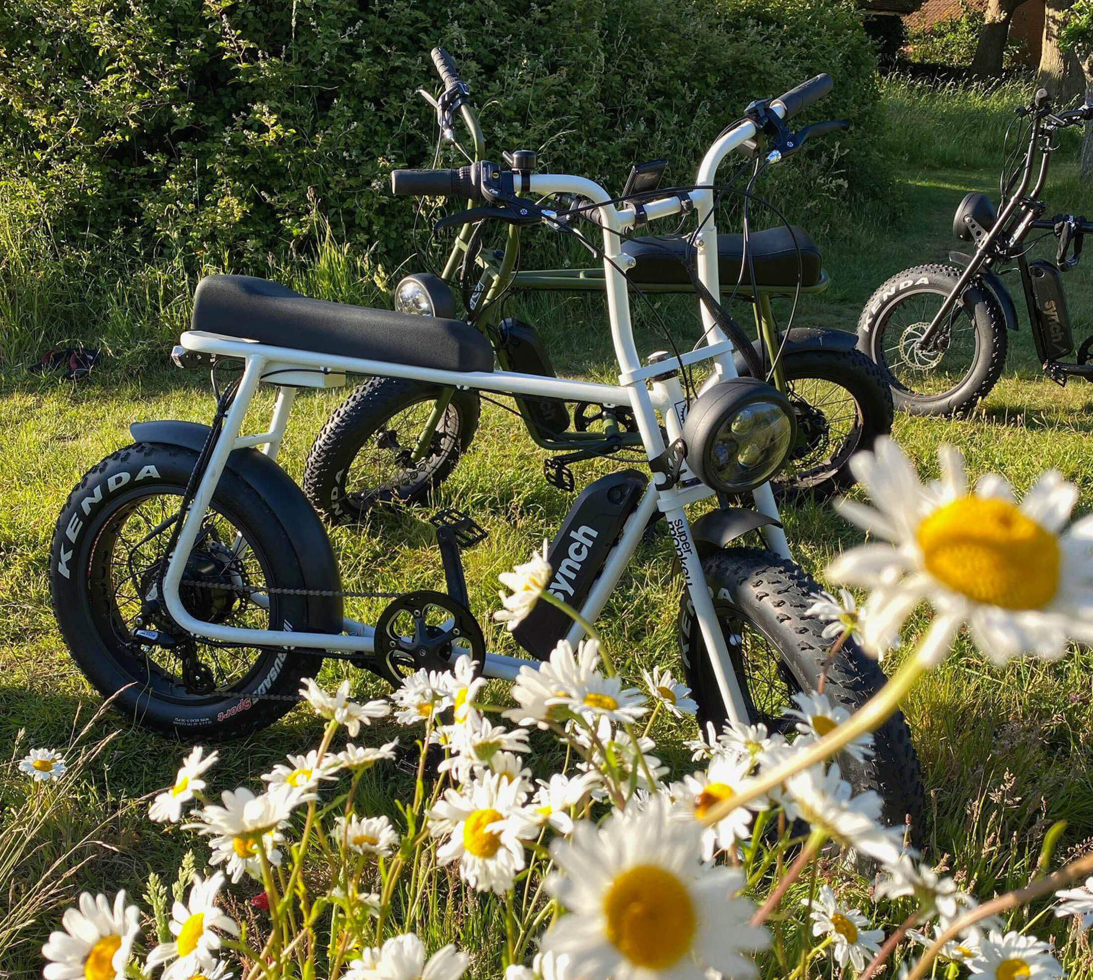 Super-Monkey-Synchgo-special-daisy-out-grass