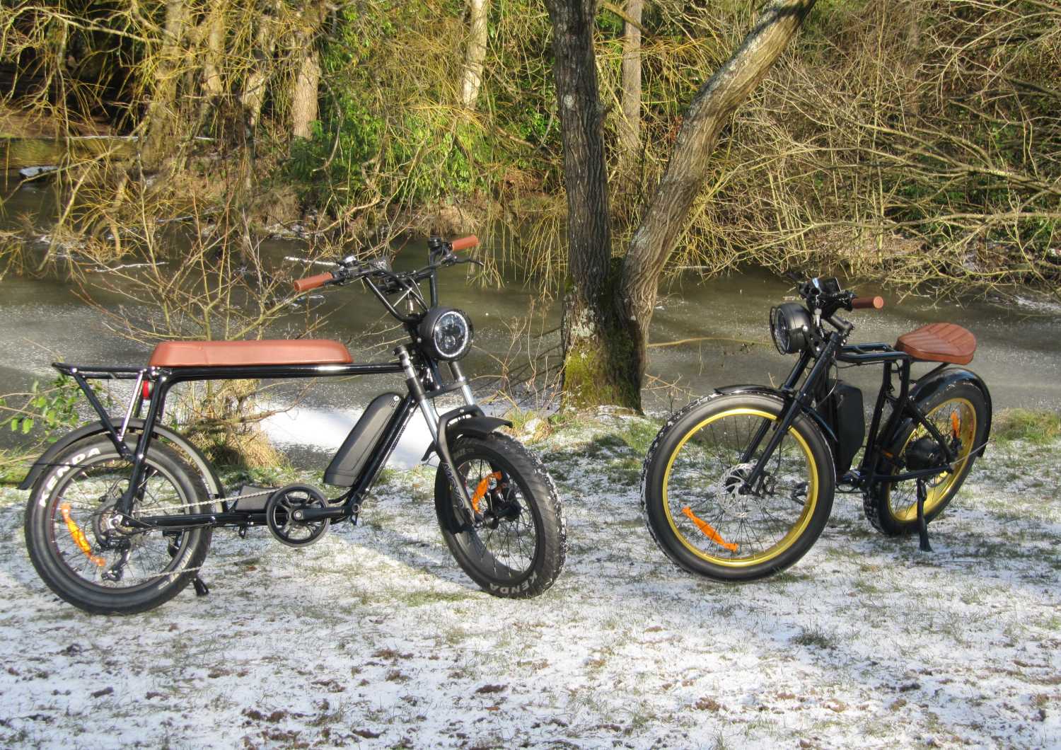 Retro Electric EBike