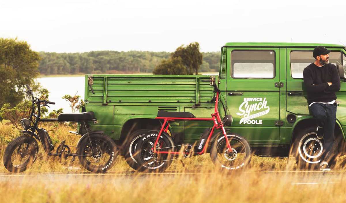 Vintage Electric Bike / EBike