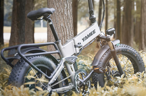 Retro Electric EBike